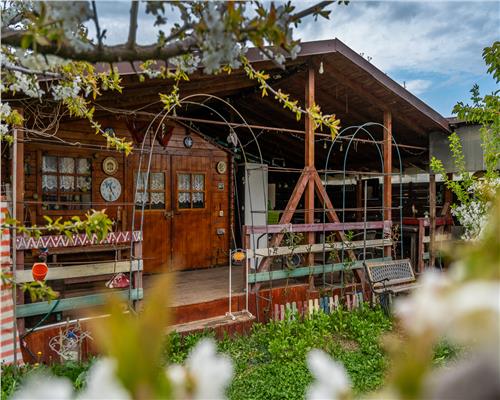 DOMNESTI,VILA INDIVIDUALA,4 CAMERE,258 MP,TEREN 700 MP,AN 2017