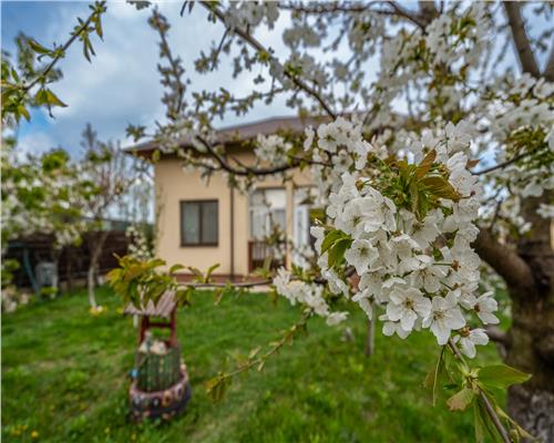 DOMNESTI,VILA INDIVIDUALA,4 CAMERE,258 MP,TEREN 700 MP,AN 2017